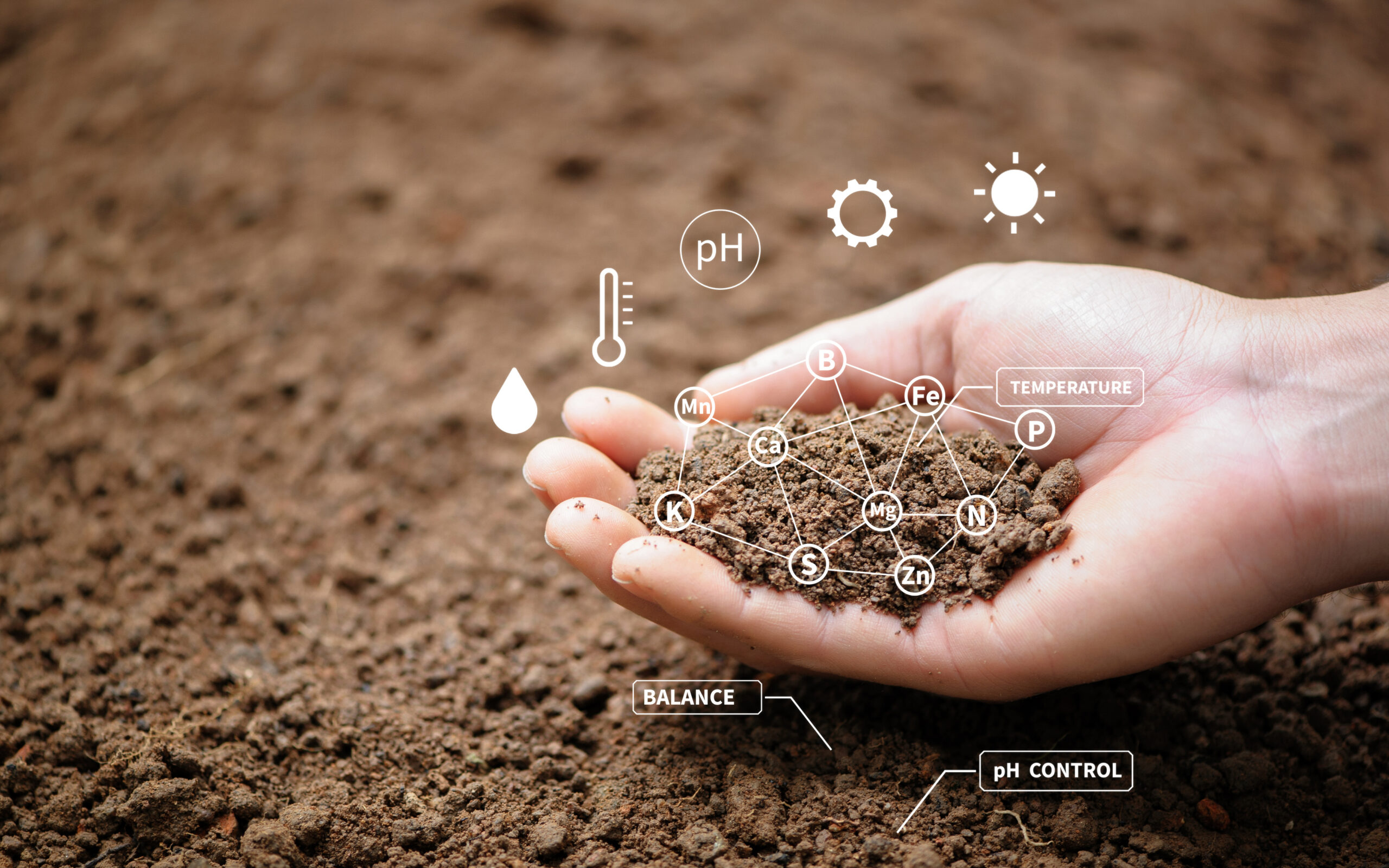 Top view of soil in hands for check the quality of the soil for