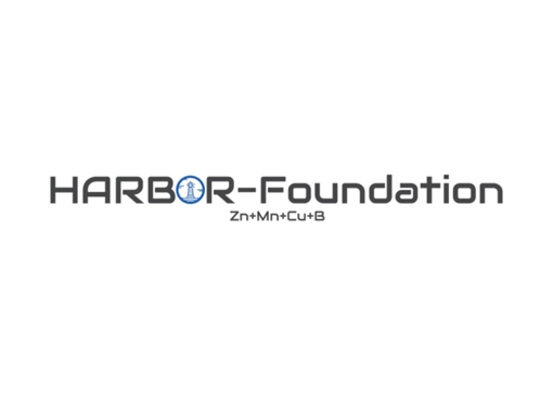 Harbor Foundation logo HARBOR®-Foundation